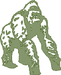 Conservation of Primates